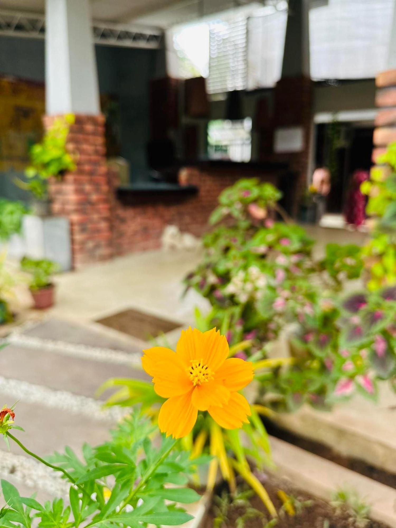 Lanka Bangla Inn Villas Restaurant & Travels Katunayaka Buitenkant foto